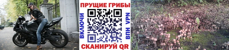 мега как войти  где купить наркоту  Заозёрный  Галлюциногенные грибы Magic Shrooms 